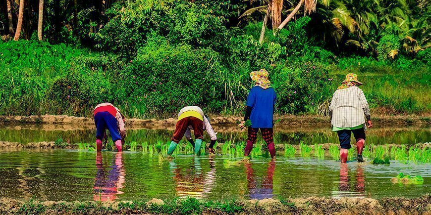Einheimische Bauern auf Koh Yao Yai