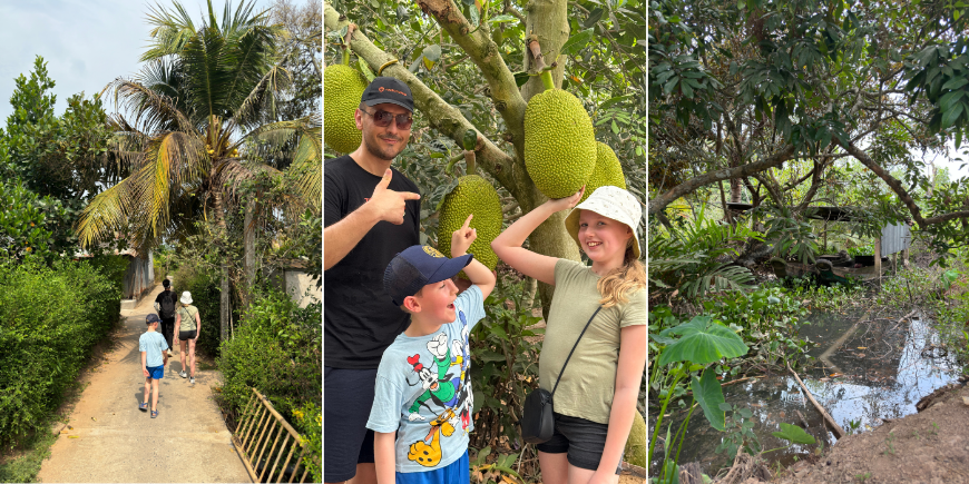 Naturerlebnisse in der Umgebung