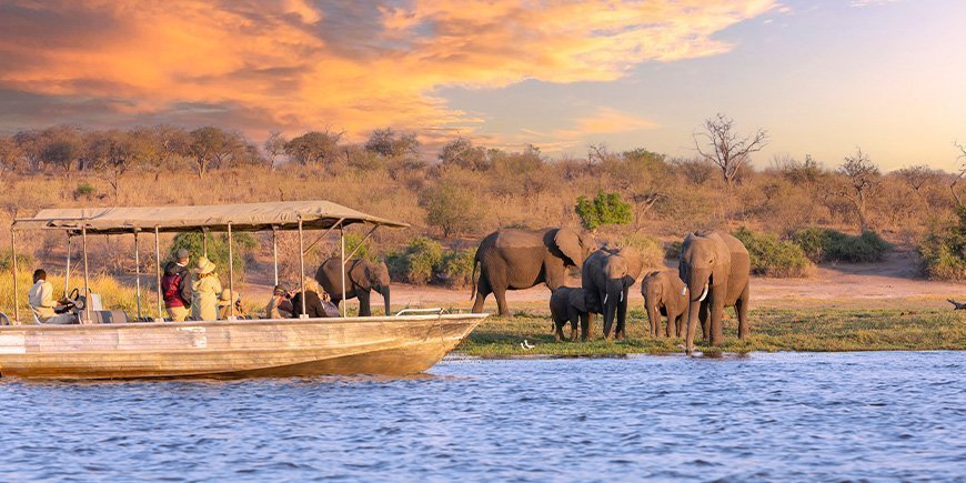 Boot fährt an einer Gruppe von Elefanten auf dem Chobe-Fluss in Botswana vorbei