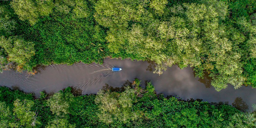 Rio Sierpe Fluss von oben gesehen im Corcovado Nationalpark in Costa Rica