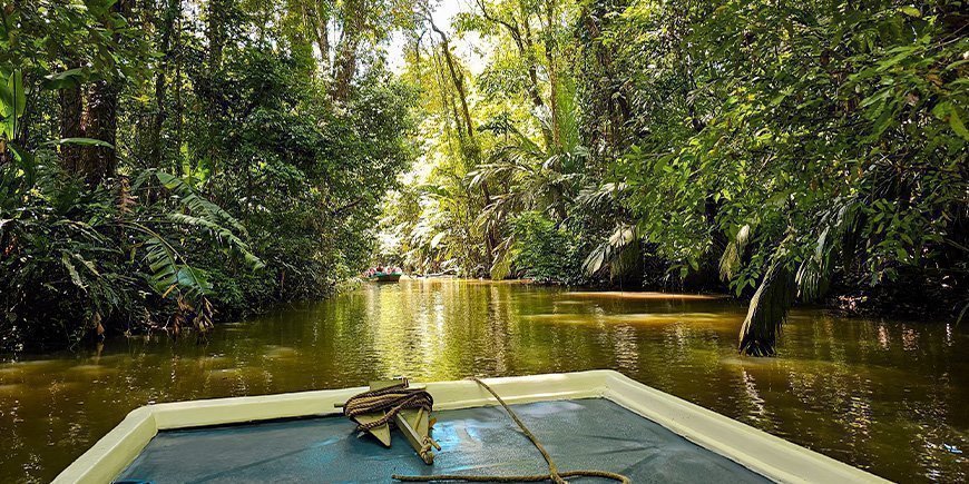 Auf einer Bootsfahrt in den Kanälen von Tortuguero