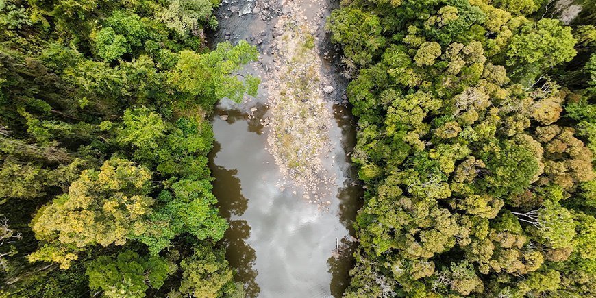 Ranomafana-Landschaften von oben gesehen