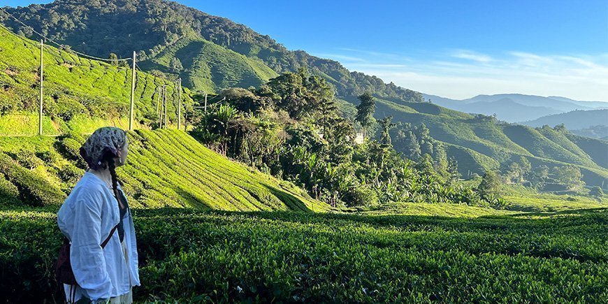Junge Frau beim Spaziergang in der Sungai Palas Plantage in den Cameron Highlands, Malaysia