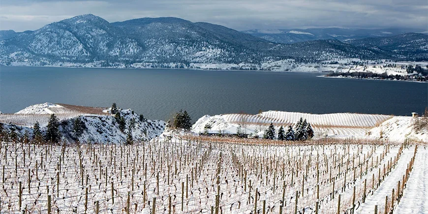 Winterlandschaften im Okanagan Valley, Kanada