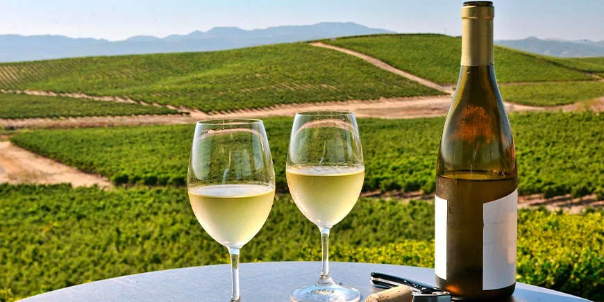 Zwei Weingläser mit Blick auf das Napa Valley