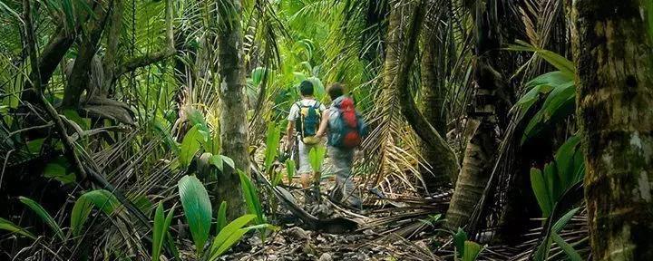 Wanderer im Corcovado-Nationalpark