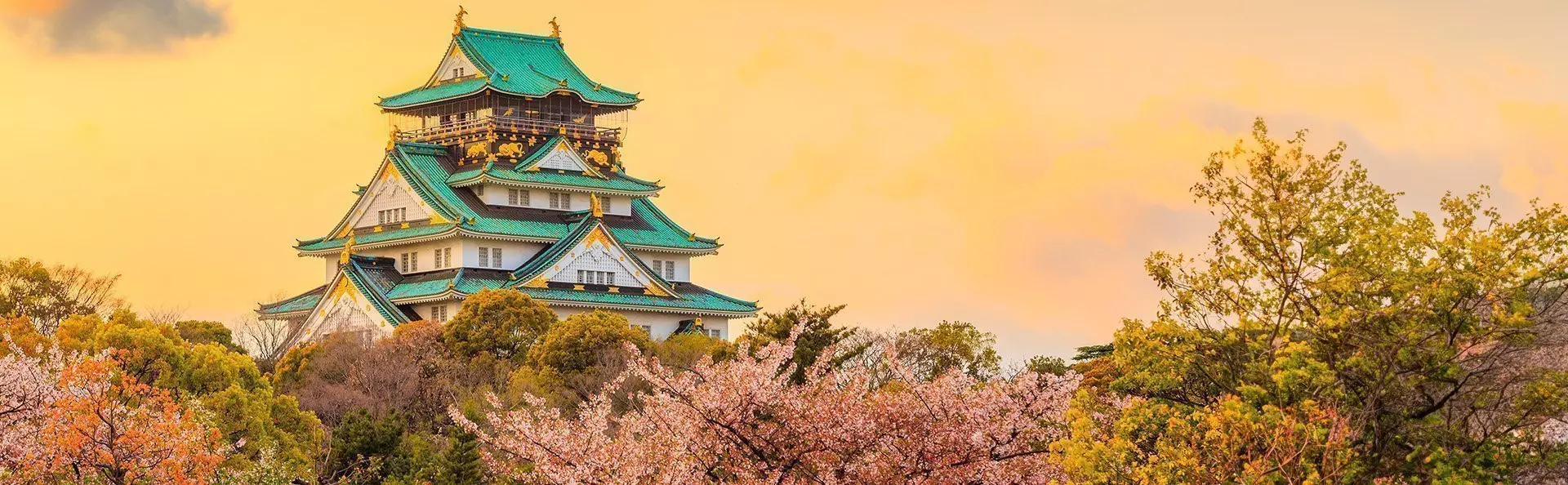Die Burg Osaka während der Sakura in Osaka, Japan