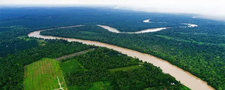 Blick auf den Kinabatangan-Fluss in Borneo