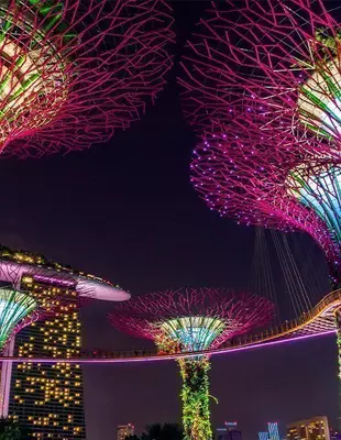 Supertree in Singapur bei Nacht