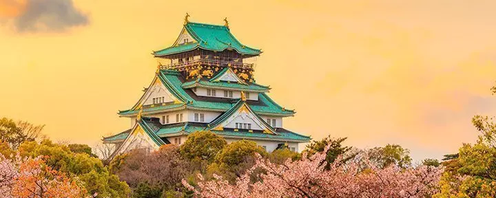 Die Burg Osaka während der Sakura in Osaka, Japan