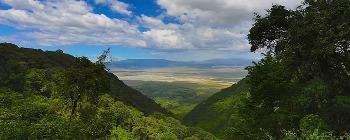 Luftaufnahme vom Ngorongoro-Gebiet in Tansania